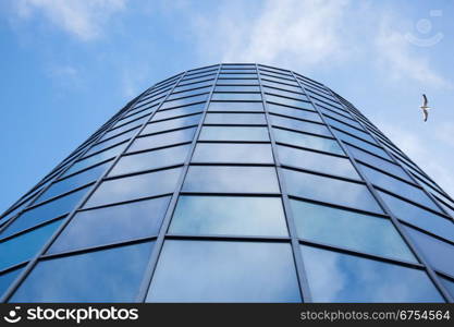 facade of office building with blue sky reflected and gull