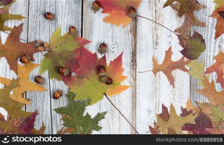 Fading fall foliage and acorns on rustic white wood