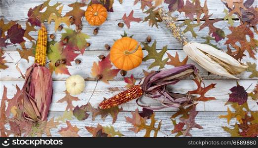 Fading fall foliage with pumpkins, acorns, corn and gourds on rustic white wood