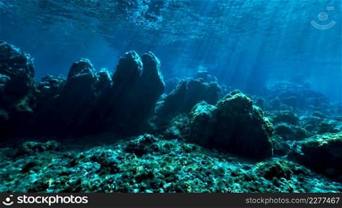 Fairy tale landscape underwater
