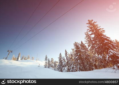 Fairy winter landscape with snow covered trees. Fantastic winter landscape. Dramatic overcast sky. Beauty world. Snowy forest