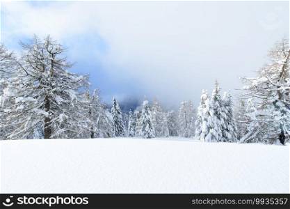 Fairy winter snowy landscape on the Italian alps
