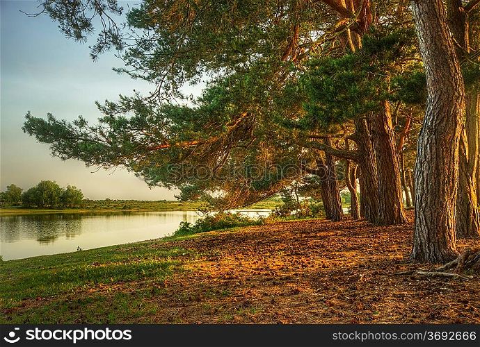Fairytale style image of forest scene with lake and trees during vibrant sunset