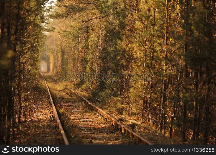 Fall autumn tunnel of love. Tunnel formed by trees and bushes along a old railway in Klevan Ukraine. selective focus.. Fall autumn tunnel of love. Tunnel formed by trees and bushes along a old railway in Klevan Ukraine. selective focus