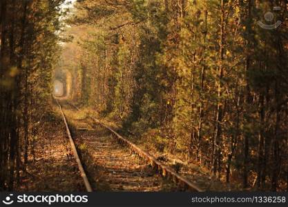 Fall autumn tunnel of love. Tunnel formed by trees and bushes along a old railway in Klevan Ukraine. selective focus.. Fall autumn tunnel of love. Tunnel formed by trees and bushes along a old railway in Klevan Ukraine. selective focus