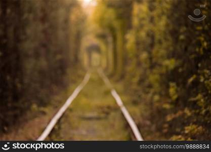 Fall autumn tunnel of love. Tunnel formed by trees and bushes along a old railway in Klevan Ukraine. photo out of focus on the background.. Fall autumn tunnel of love. Tunnel formed by trees and bushes along a old railway in Klevan Ukraine. photo out of focus on the background