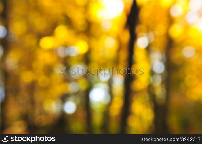 Fall background