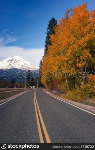 Fall color along the road looking at Mt Shasta