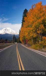 Fall color along the road looking at Mt Shasta