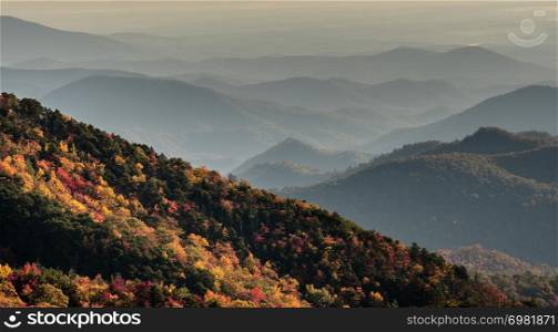 fall color forest and trees on mountain ridges and rolling hills
