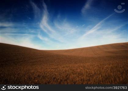 Fall colors grass and blue sky background