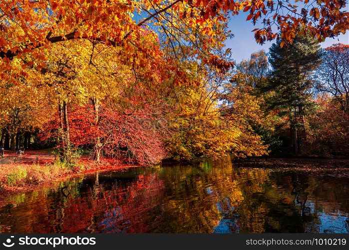 Fall Colors reflected in the still waters