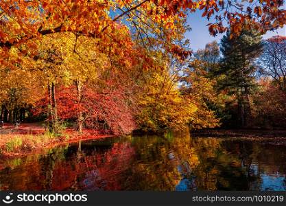Fall Colors reflected in the still waters