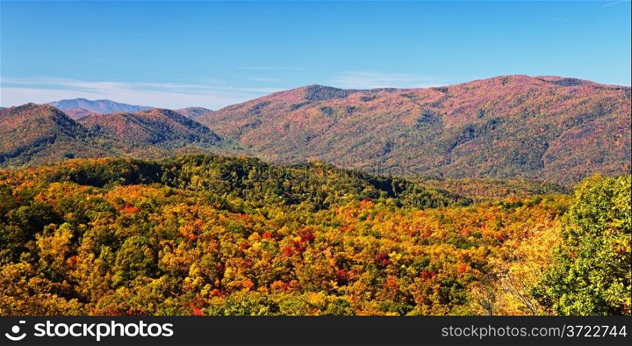 Fall colors woods in the Smoky Mountains National Park, Tennessee, USA