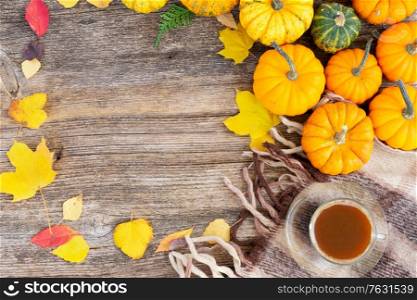 Fall cup of coffee on woolen plaid autumn flat lay frame background. Fall leaves autumn background