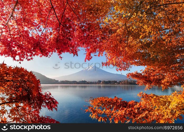 Fall foliage in autumn season and Mountain Fuji near Fujikawaguchiko, Yamanashi. Trees in Japan with blue sky background.