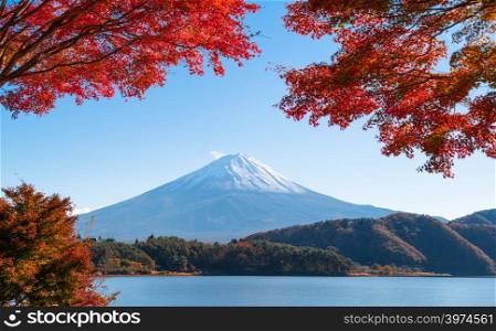 Fall foliage in autumn season and Mountain Fuji near Fujikawaguchiko, Yamanashi. Fuji Five lakes. Trees in Japan with blue sky background.