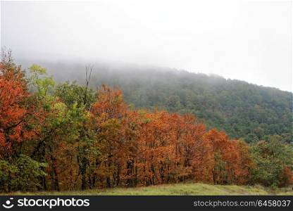 Fall Foliage in West Virgina, USA