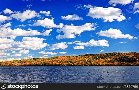 Fall forest and lake