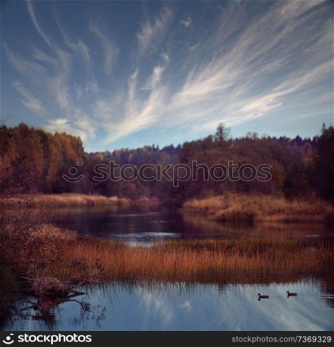 Fall forest landscape river amazing autumn background