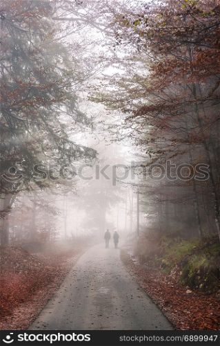 Fall image with a road crossing an autumn forest through the cold mist, and the silhouette of two people walking.
