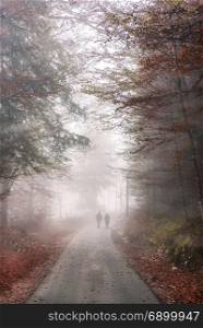 Fall image with a road crossing an autumn forest through the cold mist, and the silhouette of two people walking.