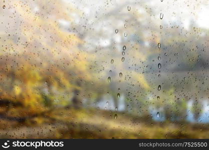 Fall in a park. Beautiful autumn landscape. Rainy day effect
