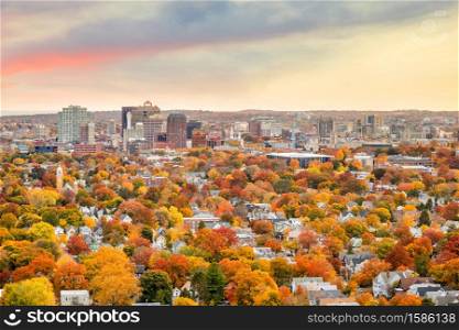 Fall in Downtown New Haven from top of East Rock Park