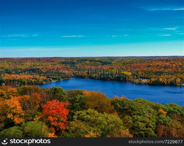 Fall in Ontario is the most beautiful time of the year. Golden and red leaves decorate the landscape