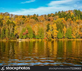 Fall in Ontario is the most beautiful time of the year. Golden and red leaves decorate the landscape