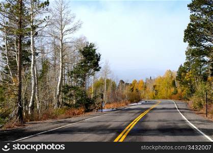 Fall In The Sierras. A country road winds through Aspen trees in Autumn colors