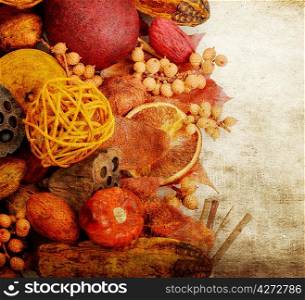 Fall Items :Fruits ,Seeds And Nuts On Grunge Background