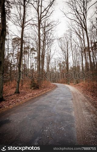 Fall landscape. Country asphalt road in the autumn forest. Misty hazy autumnal day.