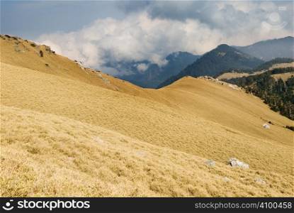 Fall landscape of golden grassland in high mountain.
