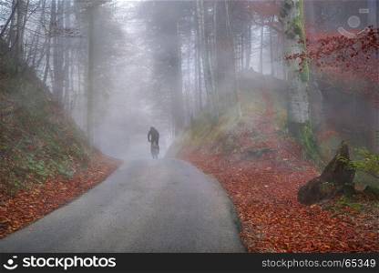 Fall landscape with a colorful forest and its carpet of autumn leaves, surrounded by mist, and people crossing it by bike.