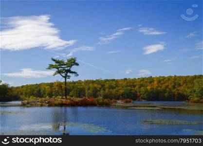 Fall landscape with the forest lake.. Fall landscape