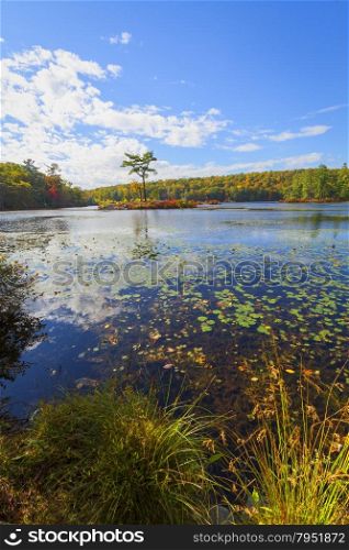 Fall landscape with the forest lake.. Fall landscape