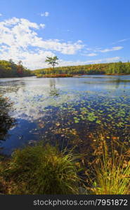 Fall landscape with the forest lake.. Fall landscape