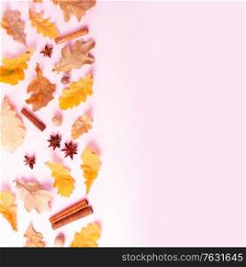 Fall leaves and spices on pink flat lay autumn background border with copy space on pink. Fall leaves autumn background