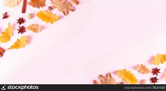 Fall leaves and spices on pink flat lay autumn background web banner with copy space on pink. Fall leaves autumn background