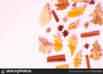 Fall leaves and spices on pink flat lay autumn background with copy space on pink, top view. Fall leaves autumn background