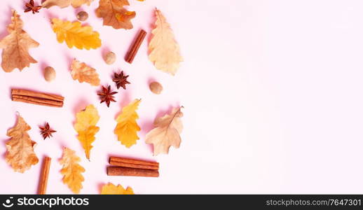 Fall leaves and spices on pink flat lay autumn background with copy space, web banner fromat. Fall leaves autumn background