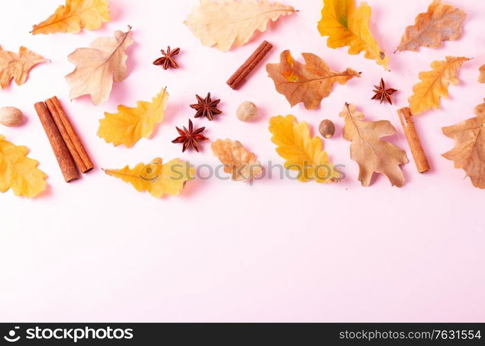 Fall leaves and spices on pink flat lay autumn background with copy space on pink. Fall leaves autumn background