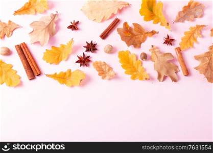 Fall leaves and spices on pink flat lay autumn background with copy space on pink. Fall leaves autumn background
