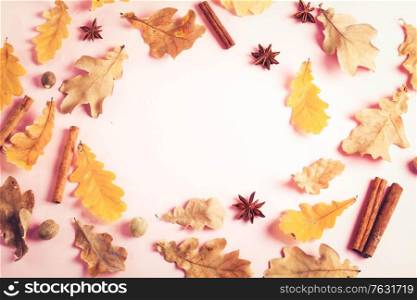 Fall leaves and spices on pink flat lay frame, autumn background, retro toned. Fall leaves autumn background