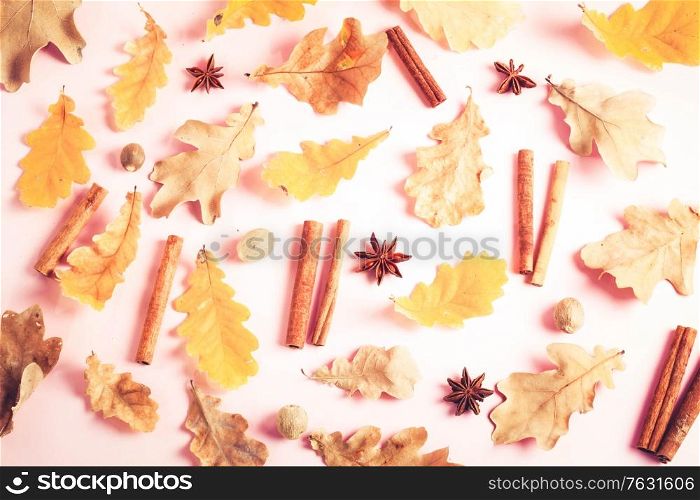 Fall leaves and spices on pink flat lay pattern, autumn background, retro toned. Fall leaves autumn background