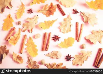 Fall leaves and spices on pink flat lay pattern, autumn background, retro toned. Fall leaves autumn background