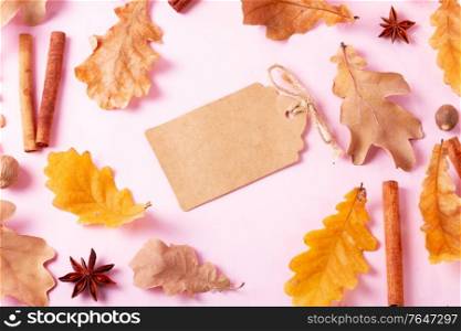Fall leaves and spices on pink flat lay pattern, autumn background with copy space. Fall leaves autumn background