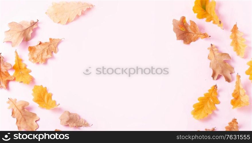 Fall leaves frame on pink flat lay autumn background web banner. Fall leaves autumn background