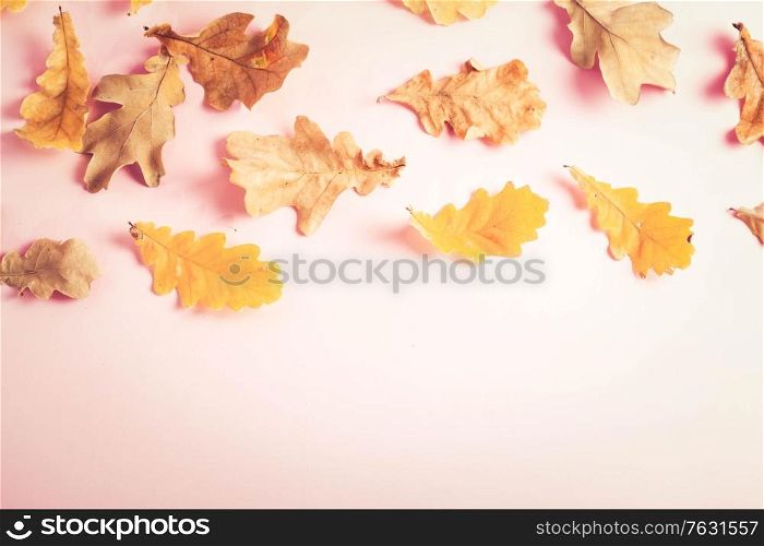 Fall leaves on pink flat lay autumn background, fall season and holidays concept, retro toned. Fall leaves autumn background